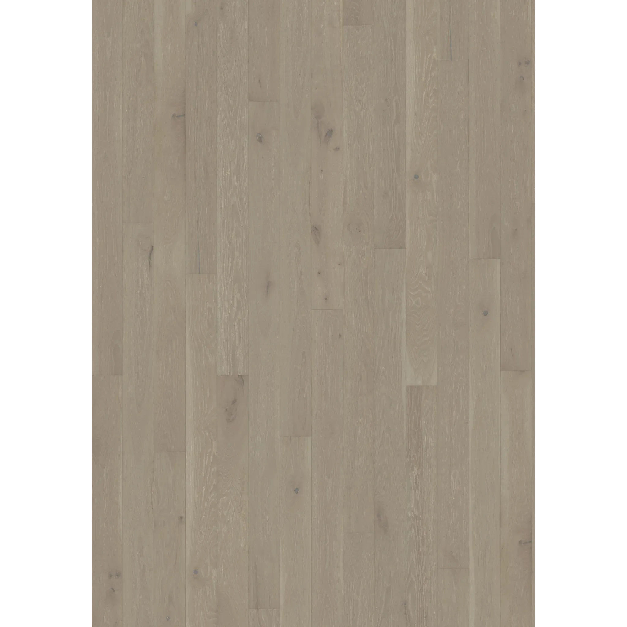 Oak Cinder