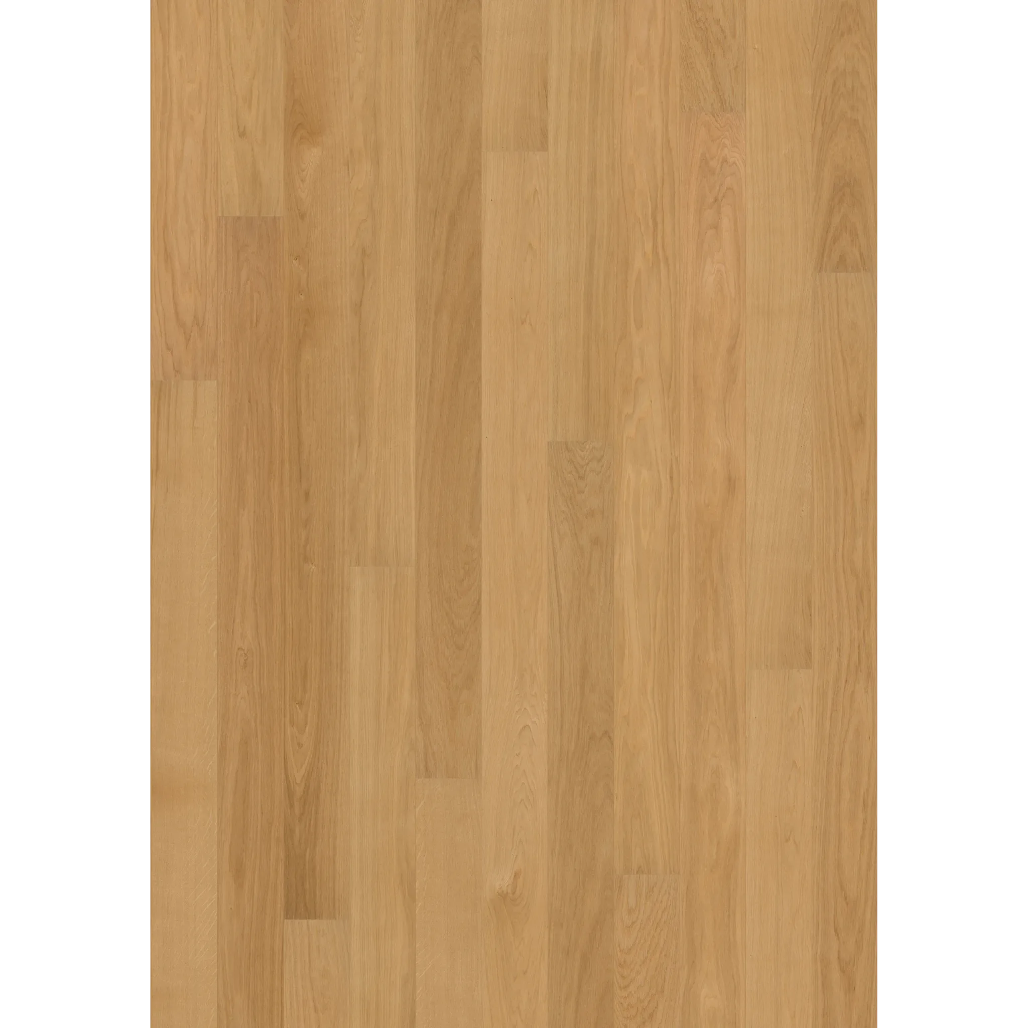 Oak Dublin Ultra Matt Narrow