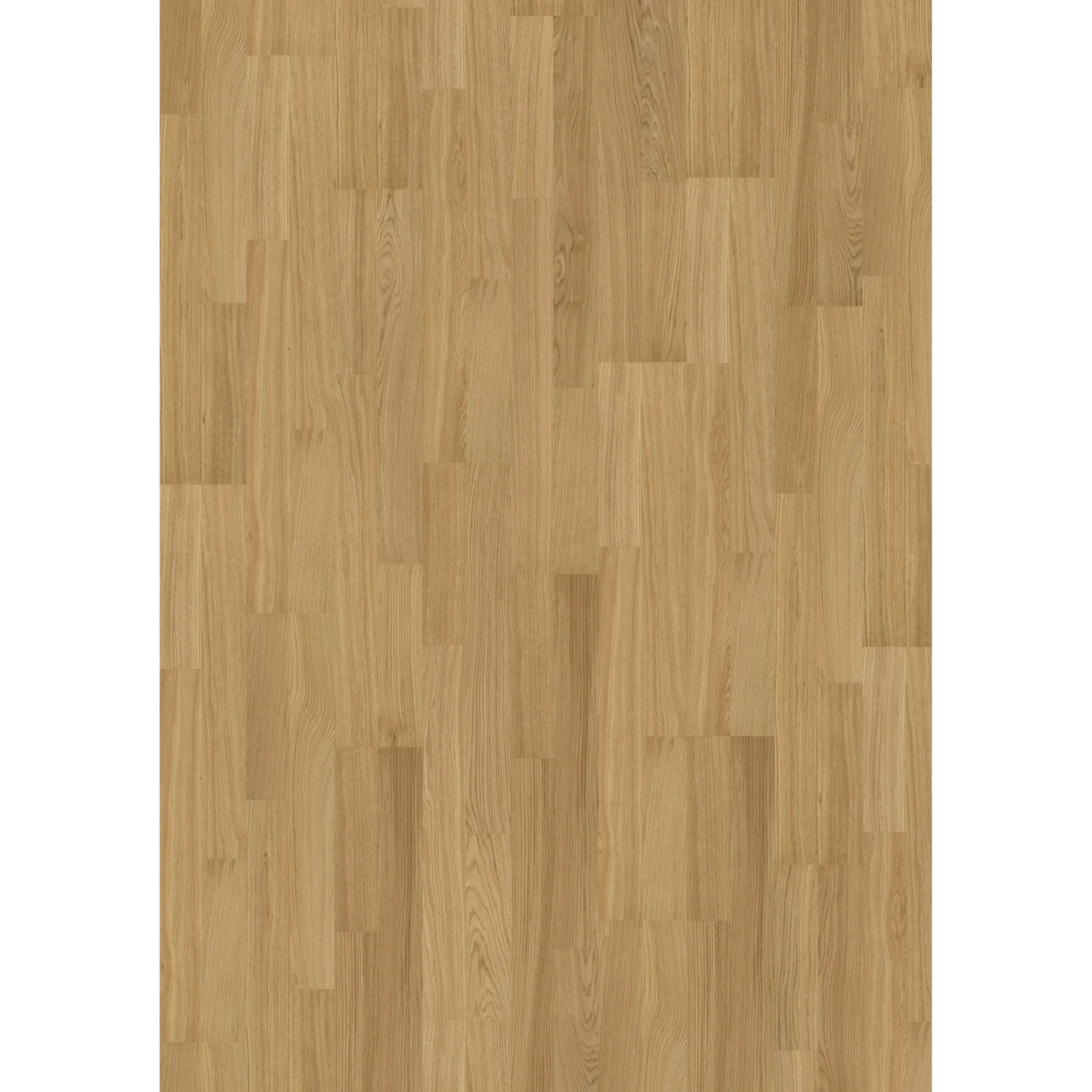 Pure Oak 2-Strip