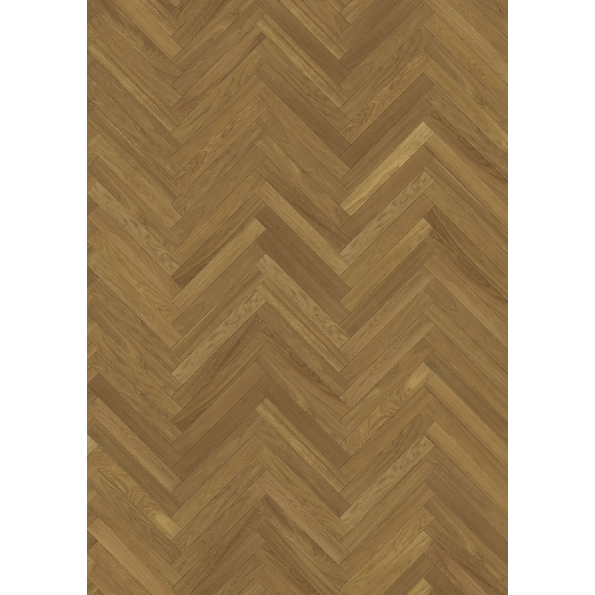 Oak Studio Ab Oiled