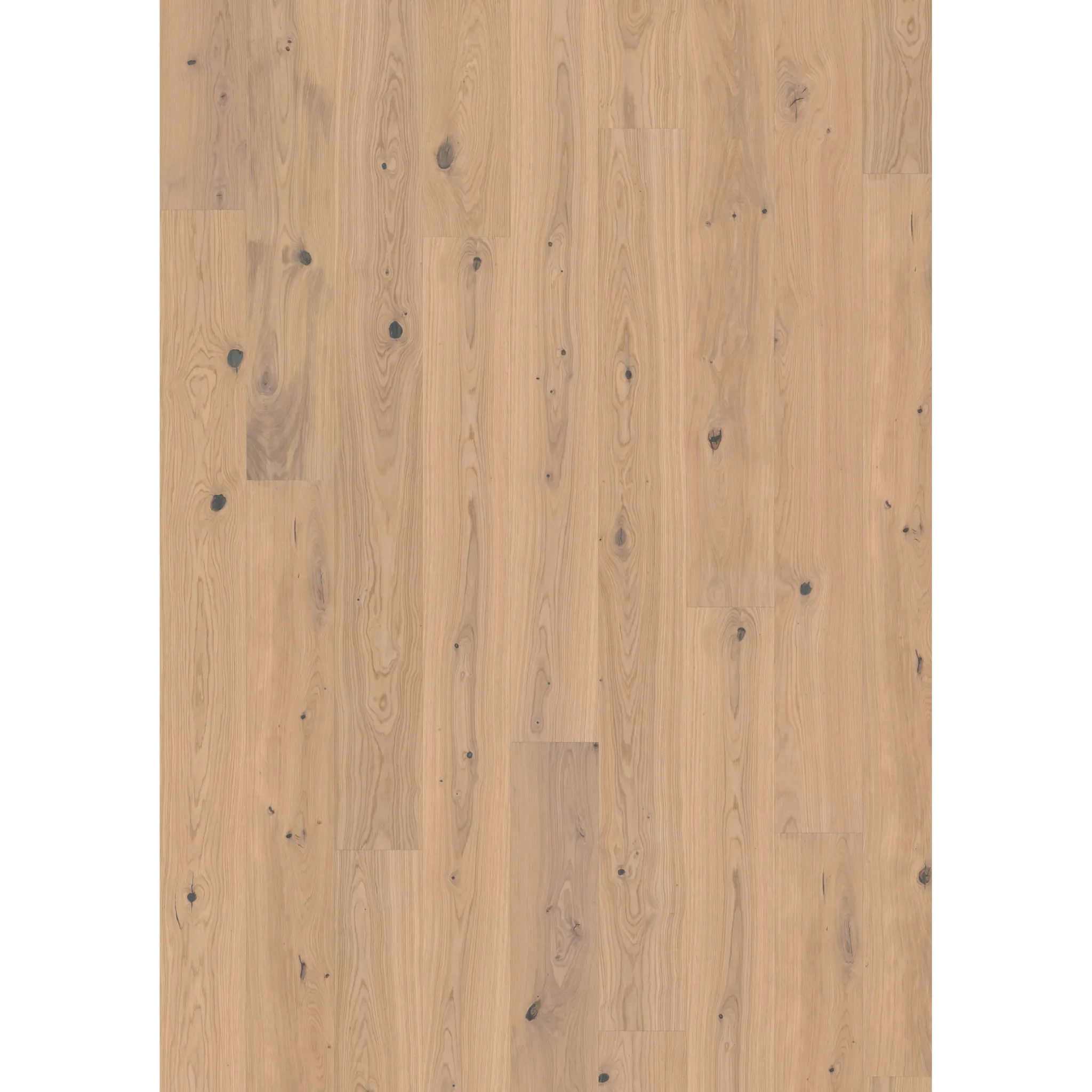 Oak Tahini Plank