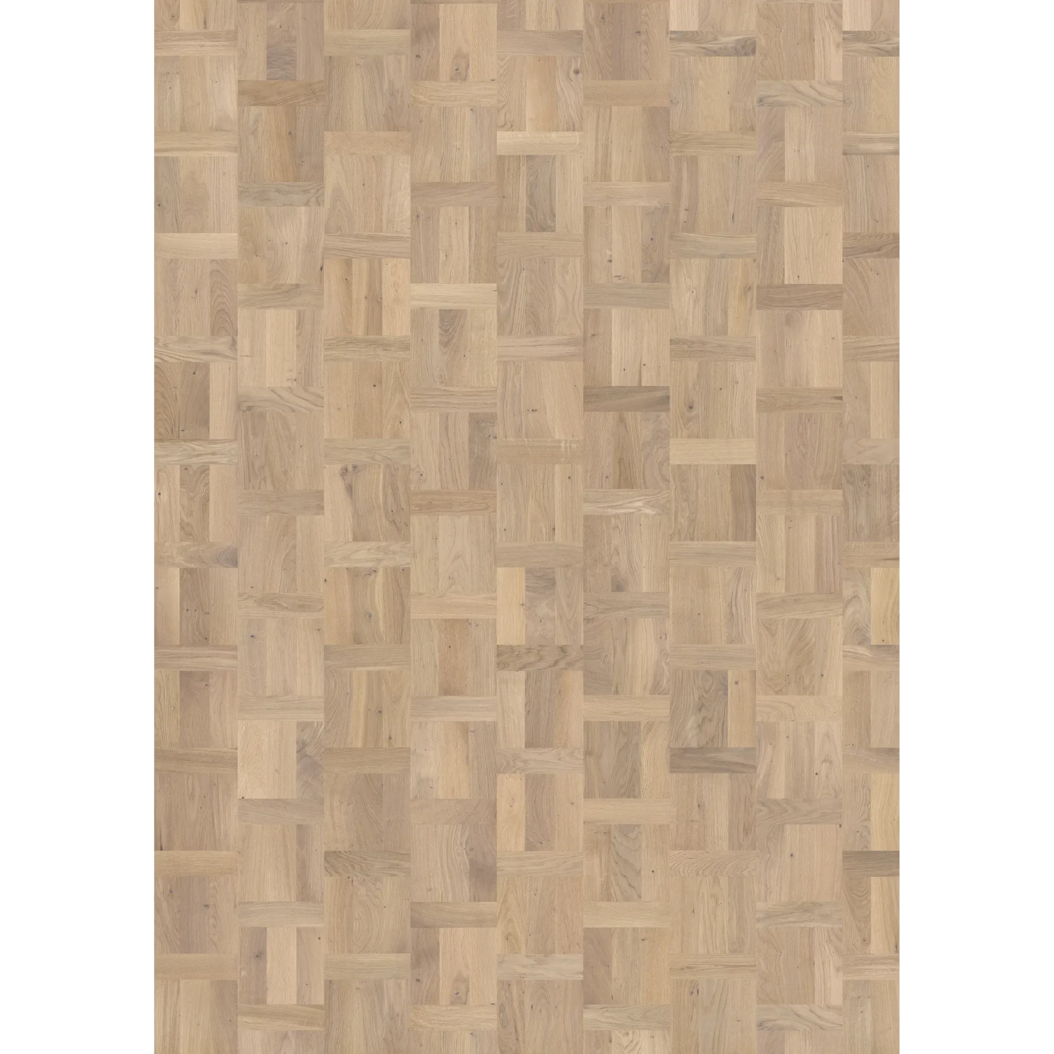 Oak Palazzo Biondo