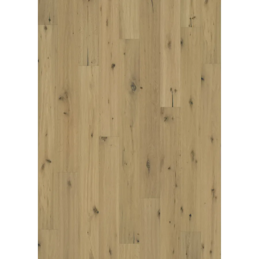 Oak Buckskin