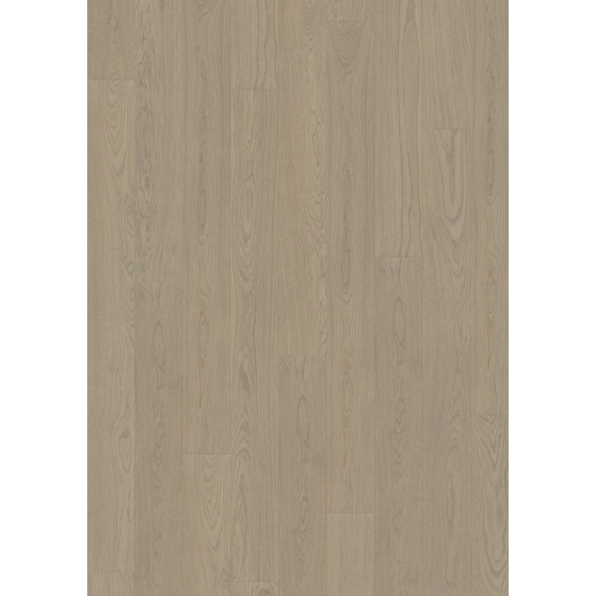 Oak Cumin Plank