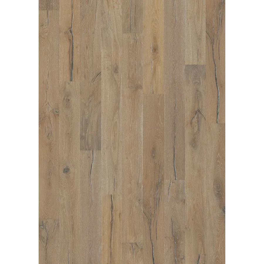 Oak Indossati