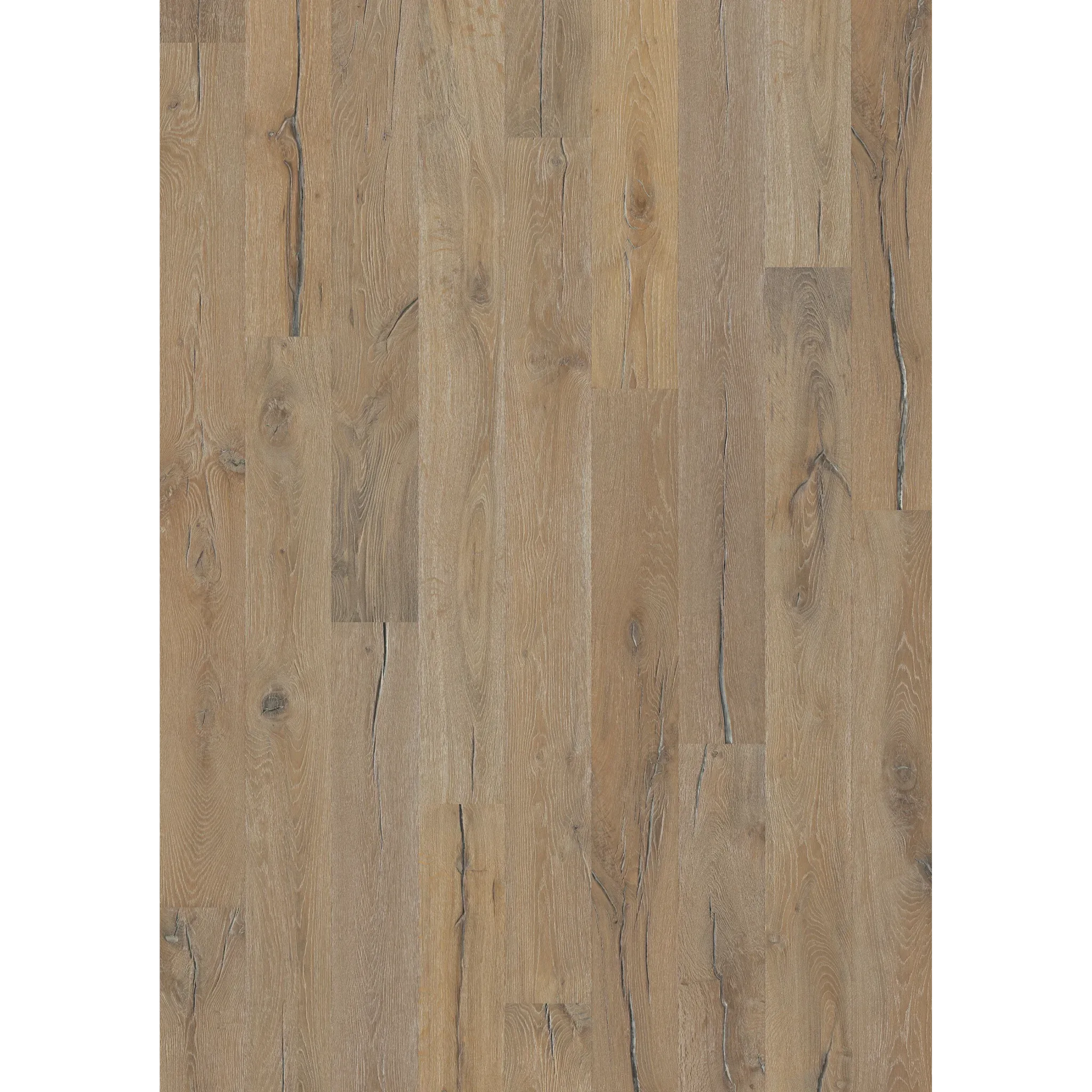 Oak Indossati