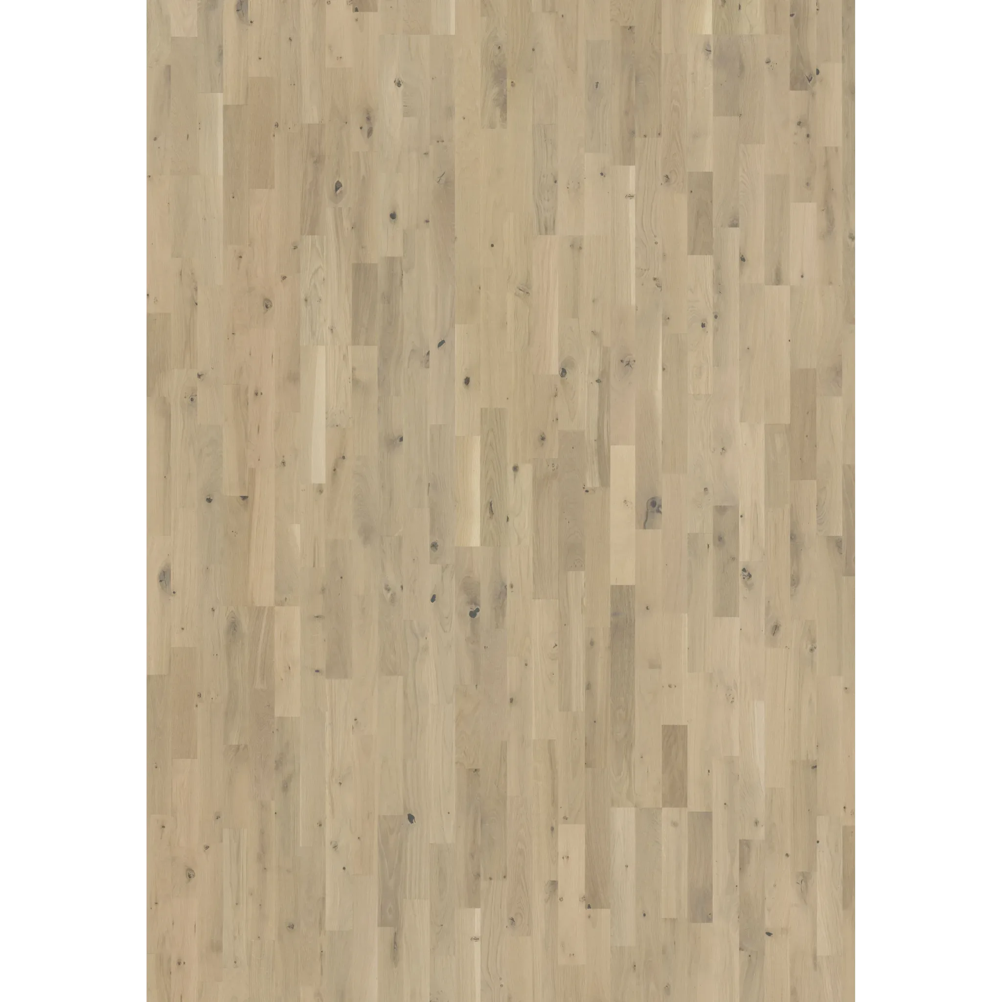 Oak Frosted Oat Strip