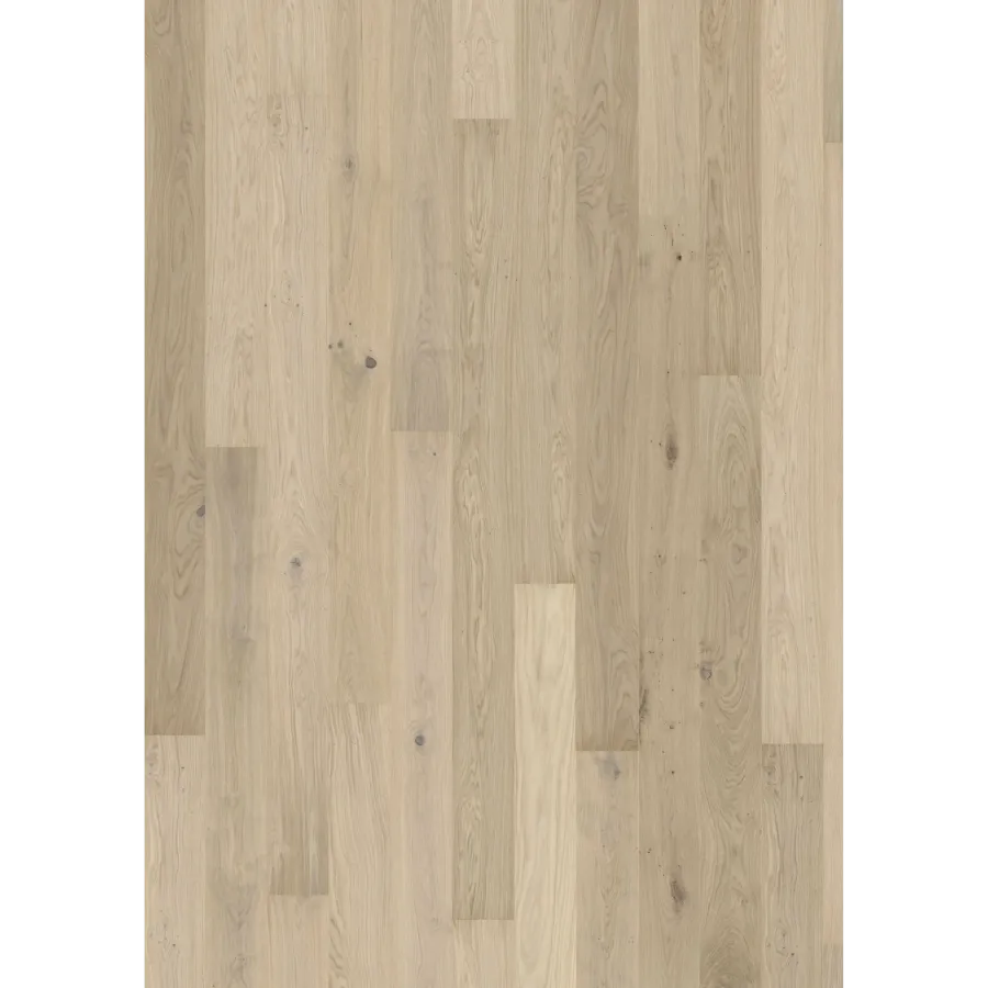Oak Horizon