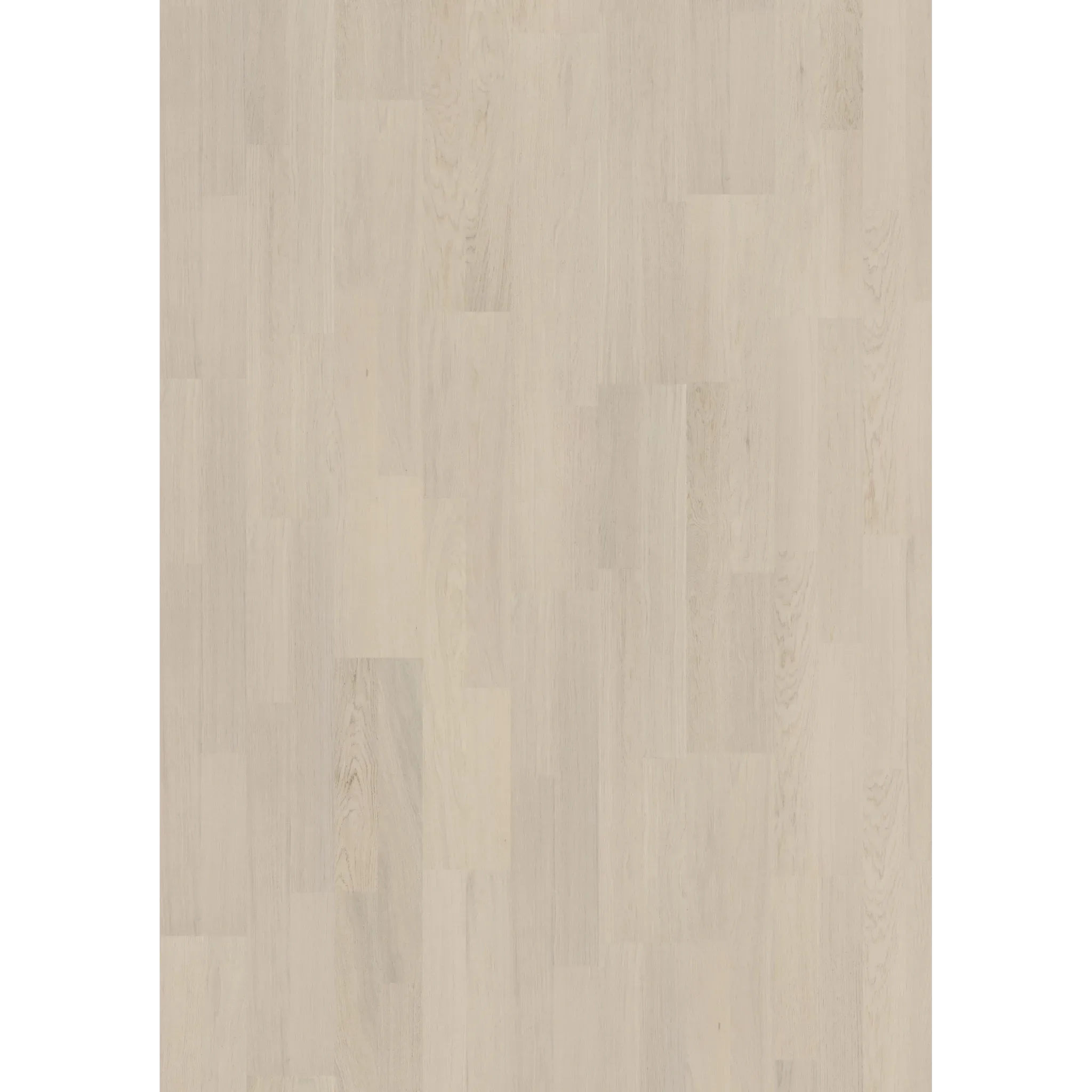 Coconut Cream 2-Strip