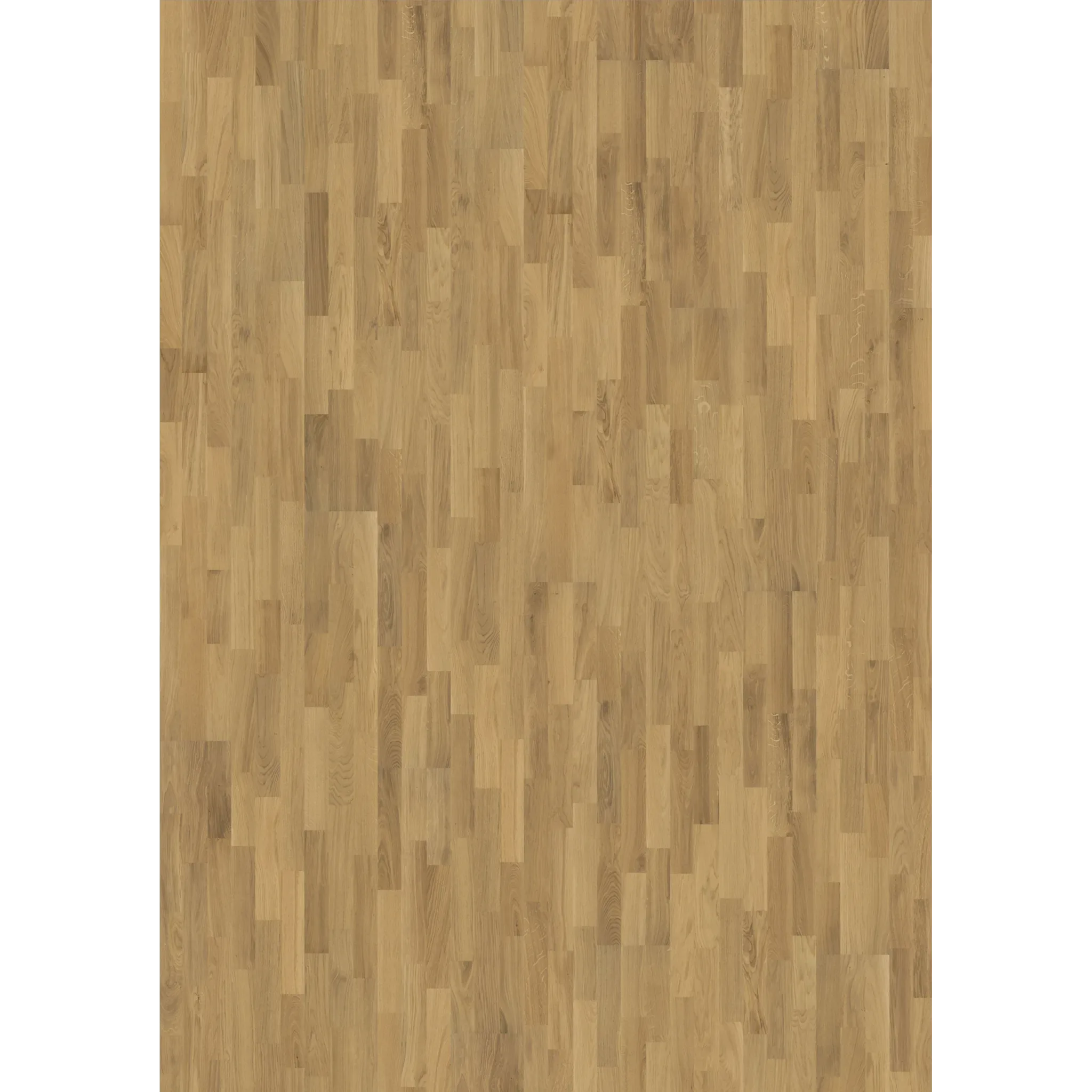 Oak Dawn