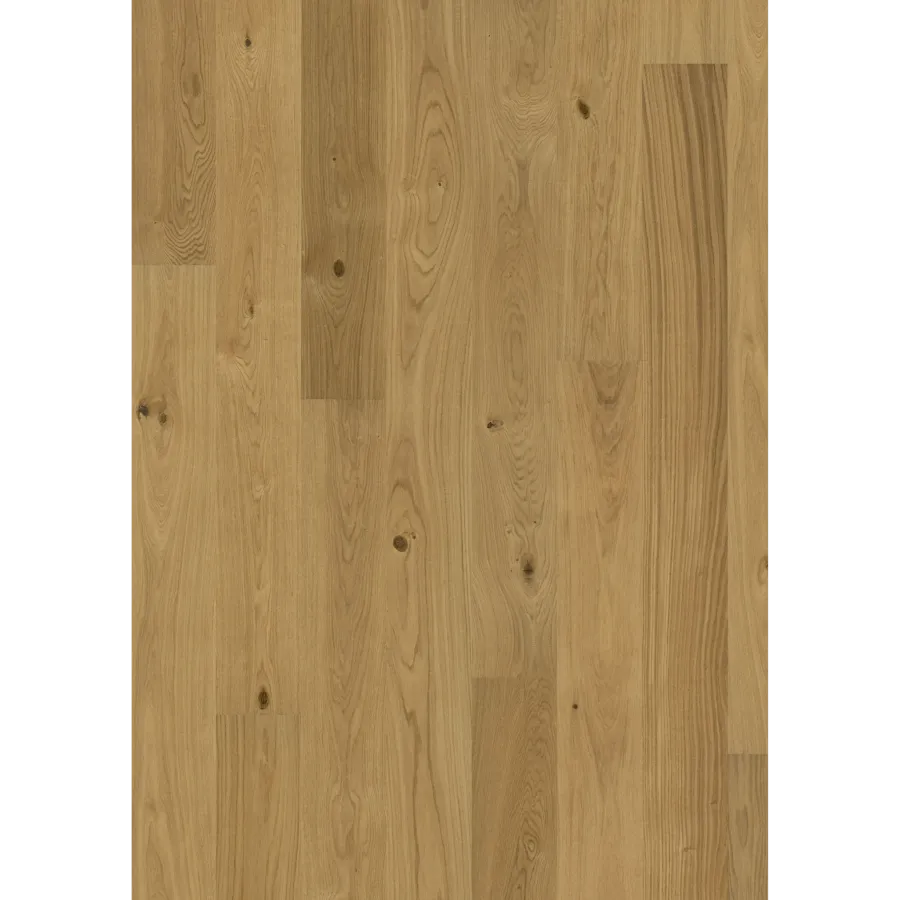 Oak Cornwall
