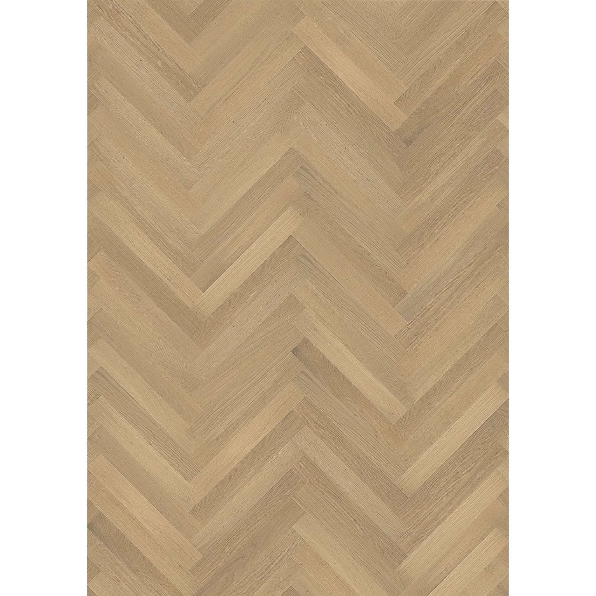 Oak Studio Ab White Matt