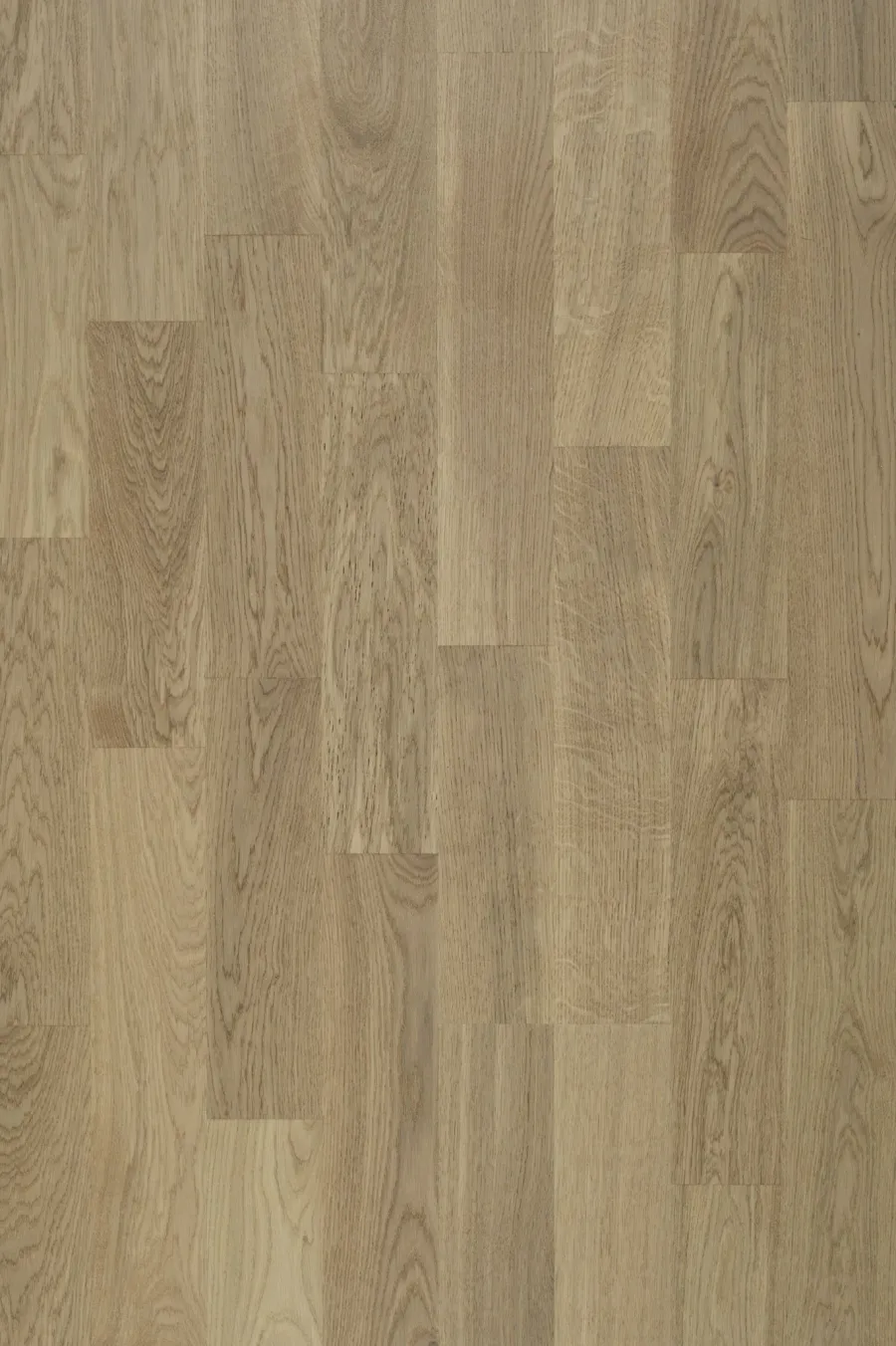 Oak Portofino