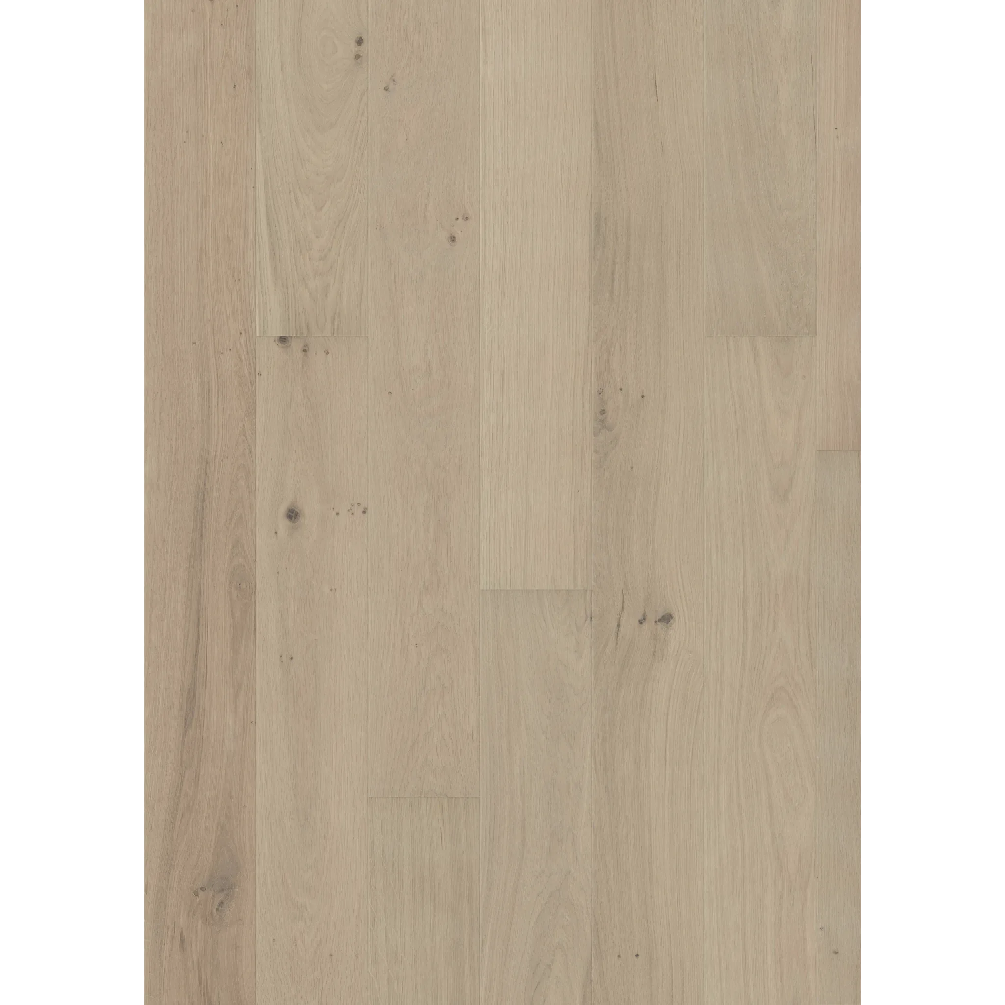 Oak Muse Wide Matt