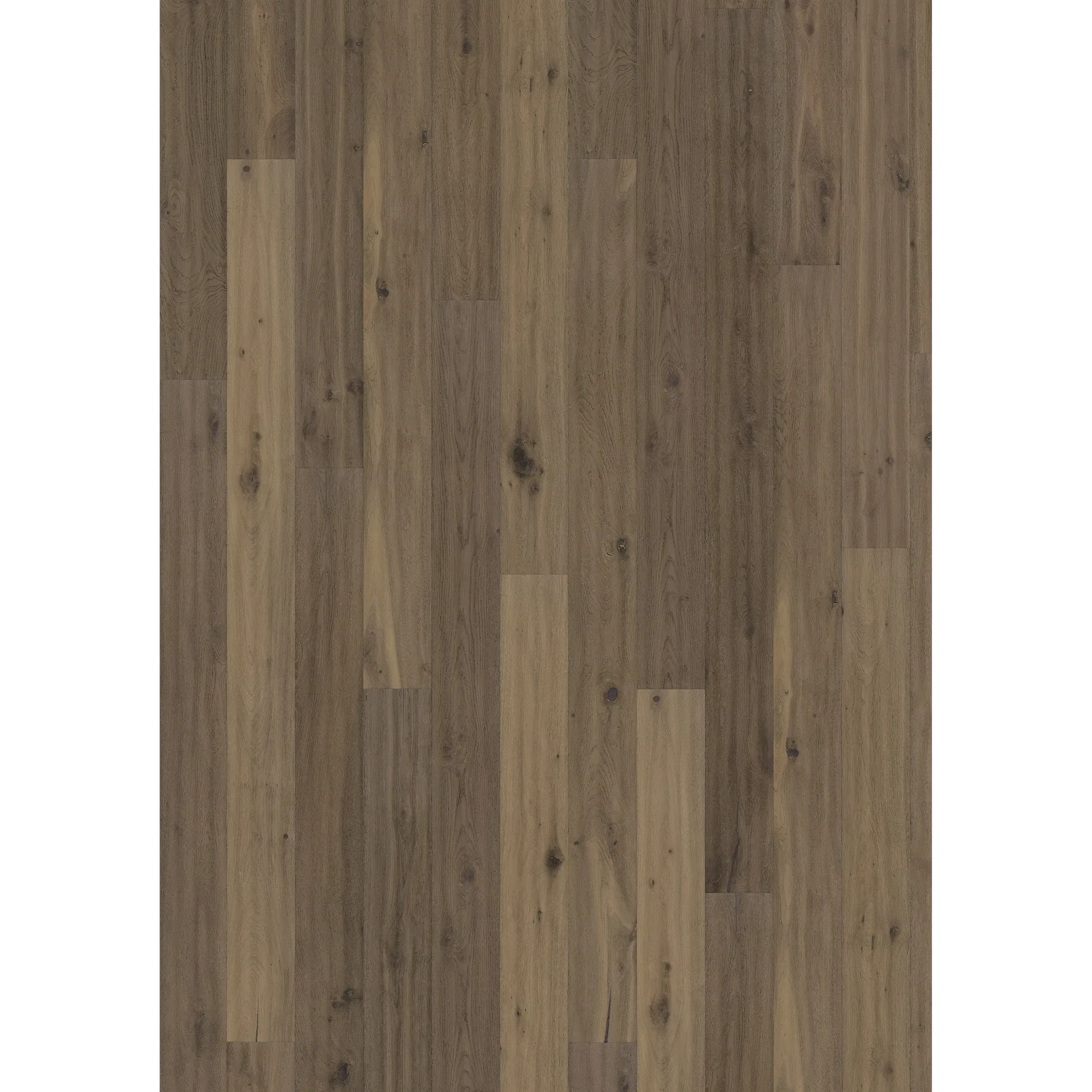 Oak Ydre