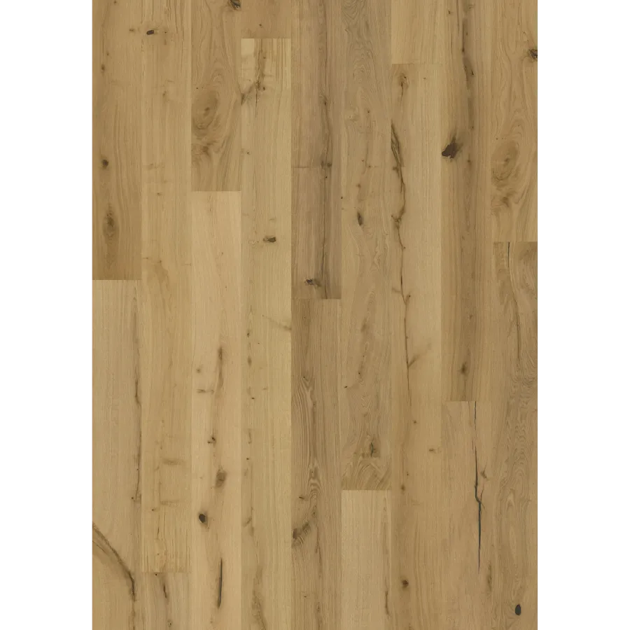 Texture Natur