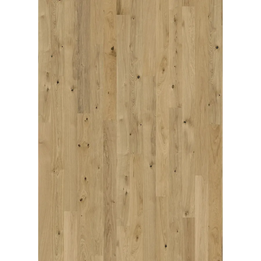 Oak Pure