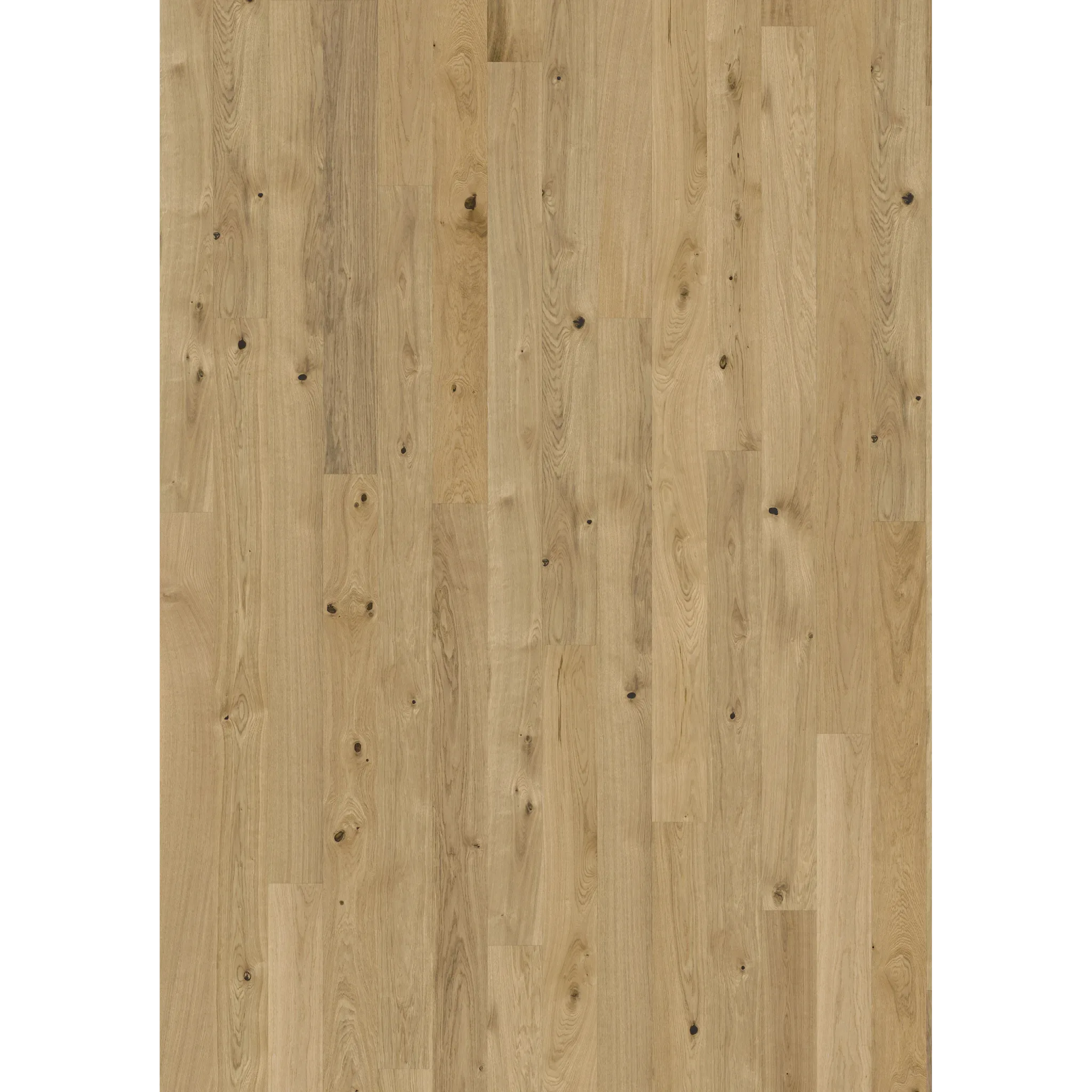 Oak Pure