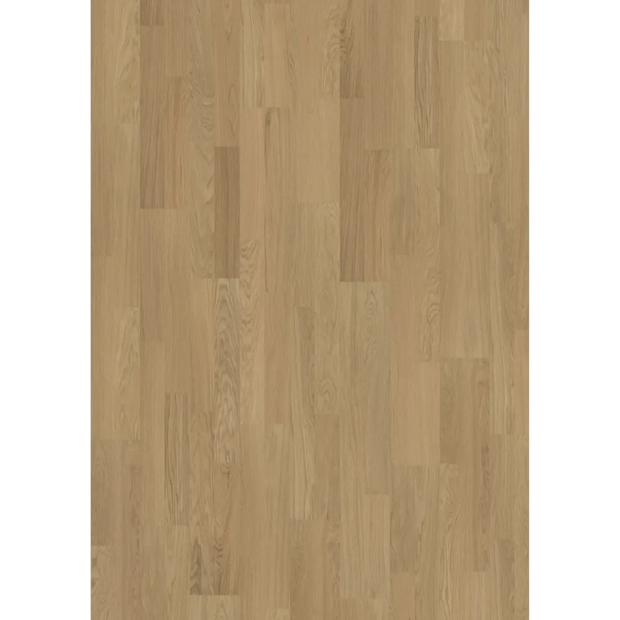 Light Suede 2-Strip