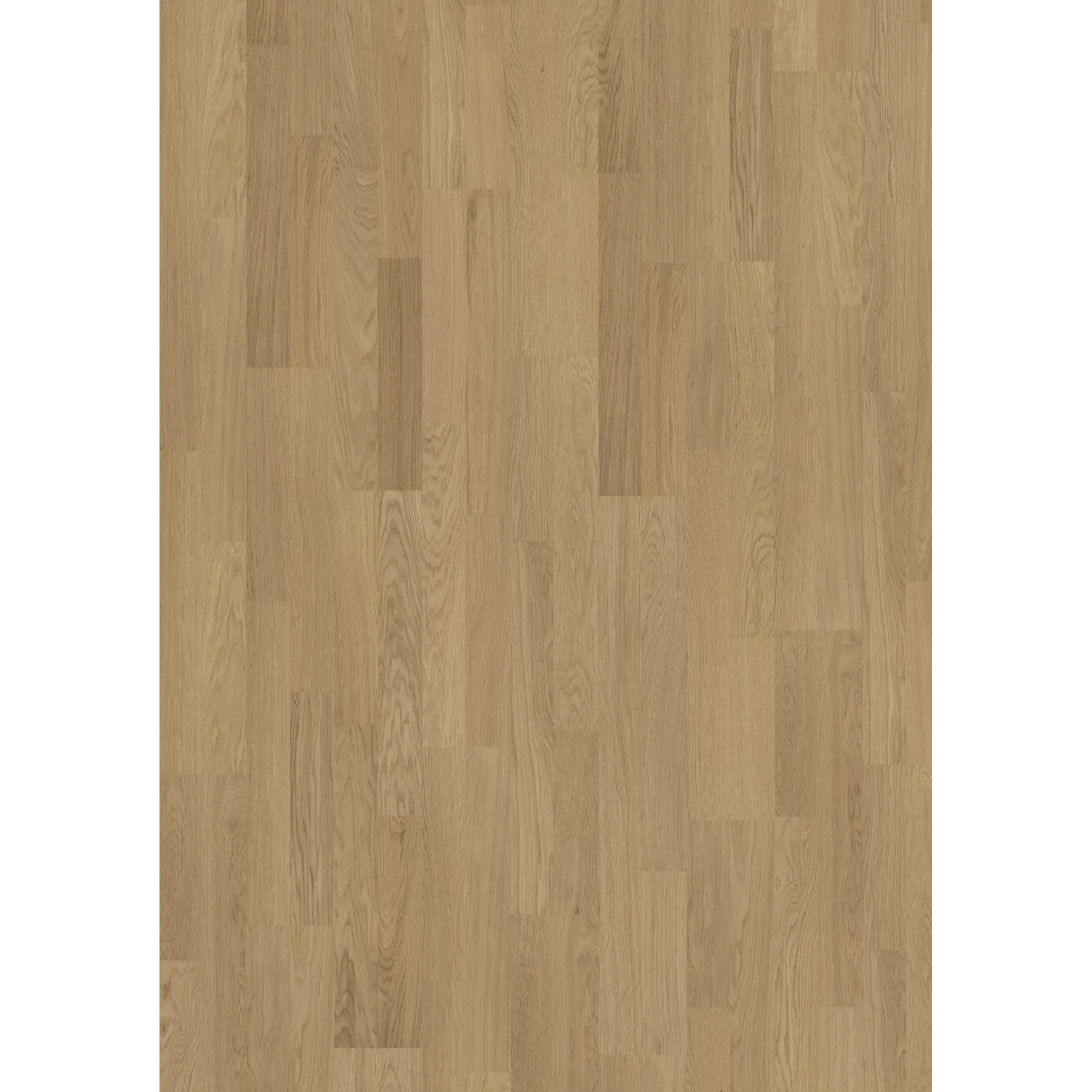 Light Suede 2-Strip
