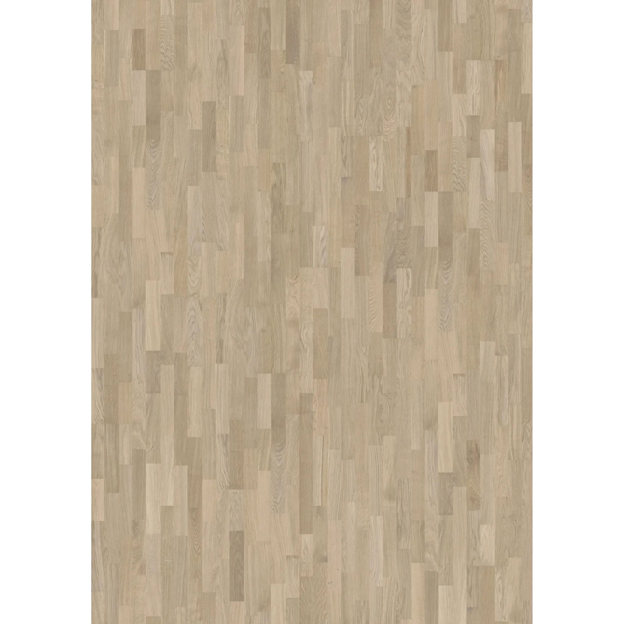 Oak Mist