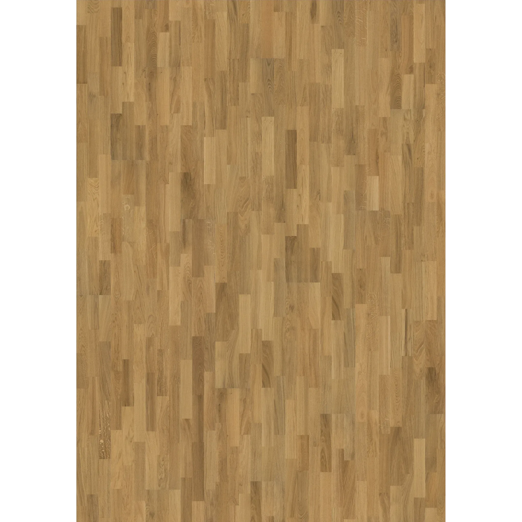 Oak Siena Matt