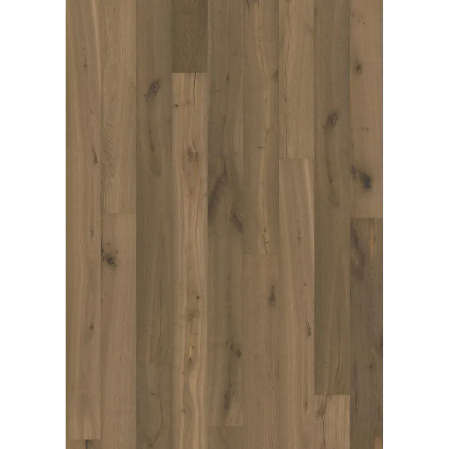 Texture Grau