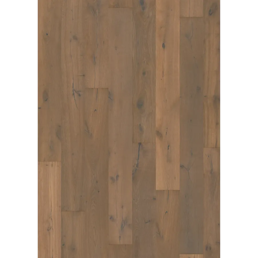 Oak Tramontane