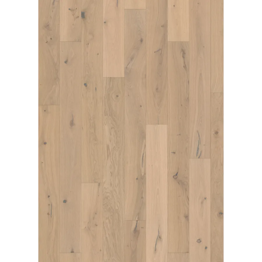 Oak Larus