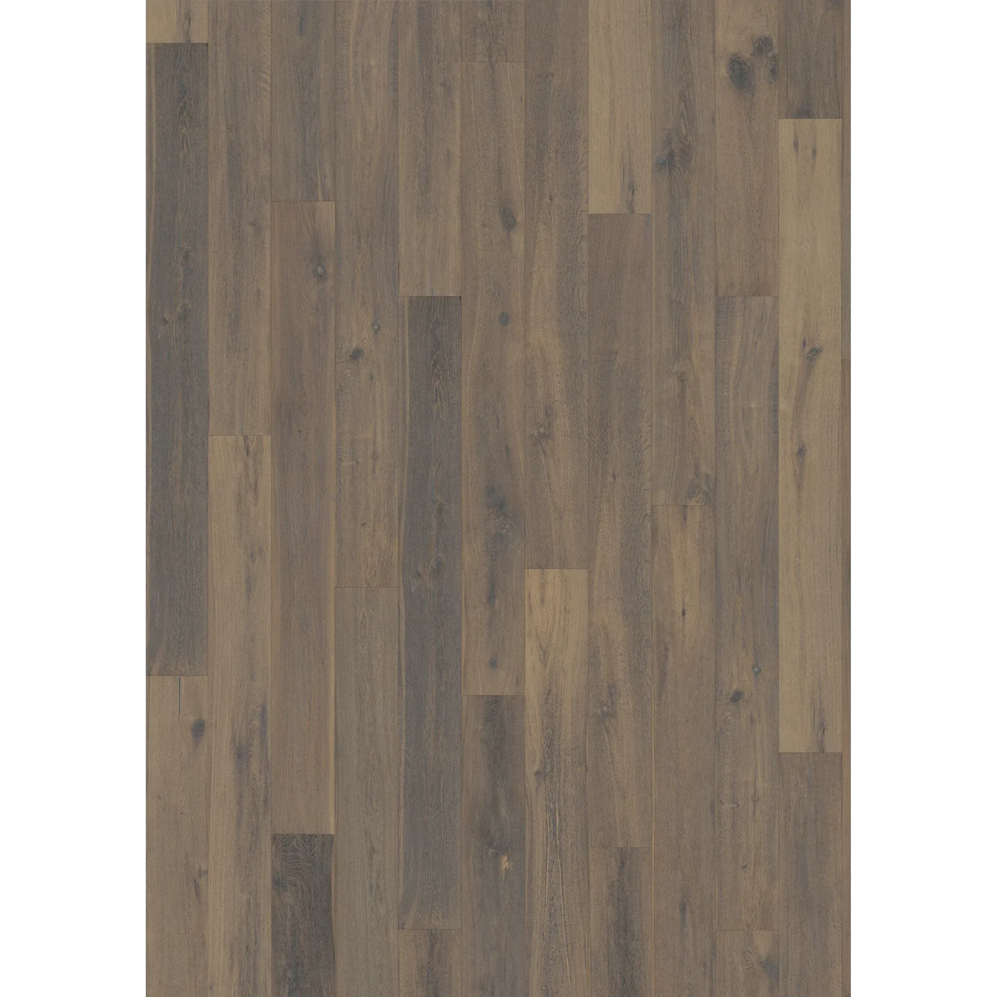 Oak Concrete
