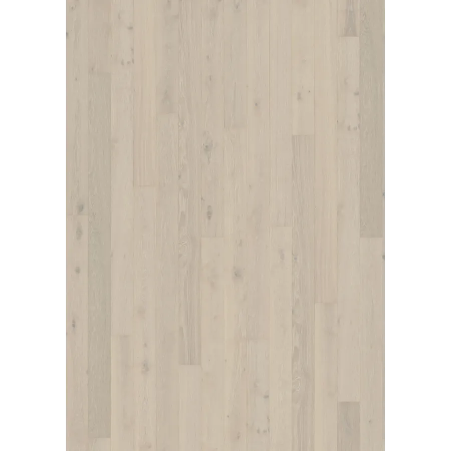 Oak Crisp