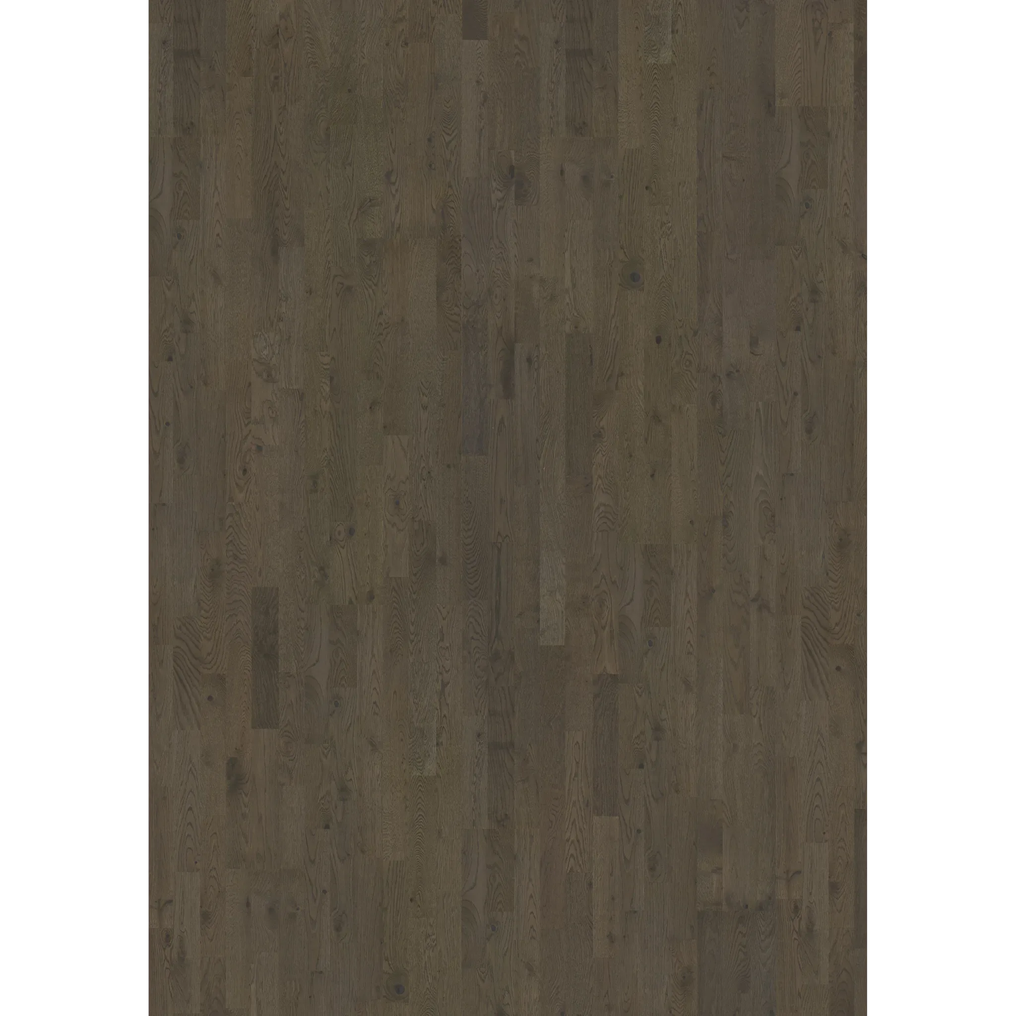 Oak Charcoal Light Strip