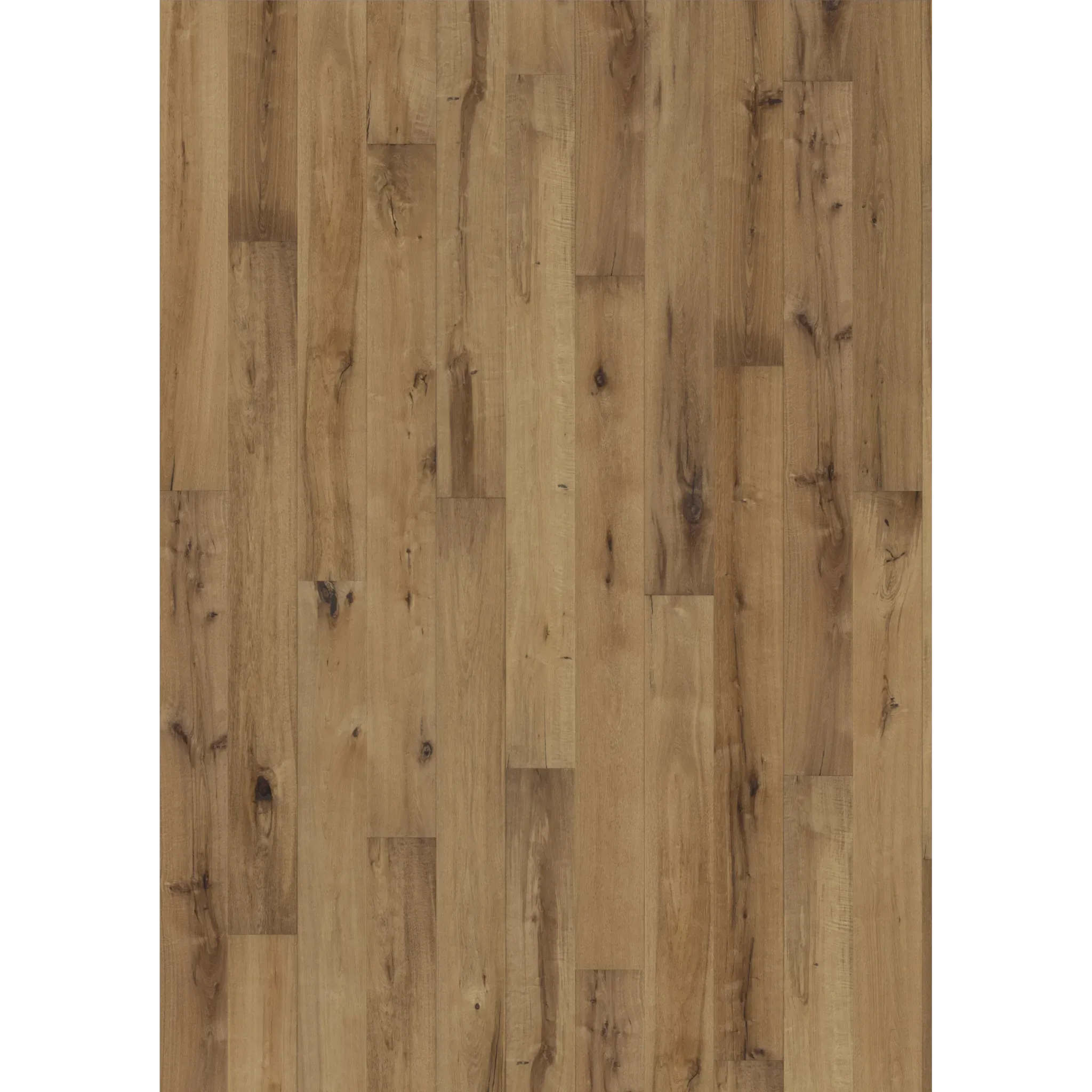 Oak Straw