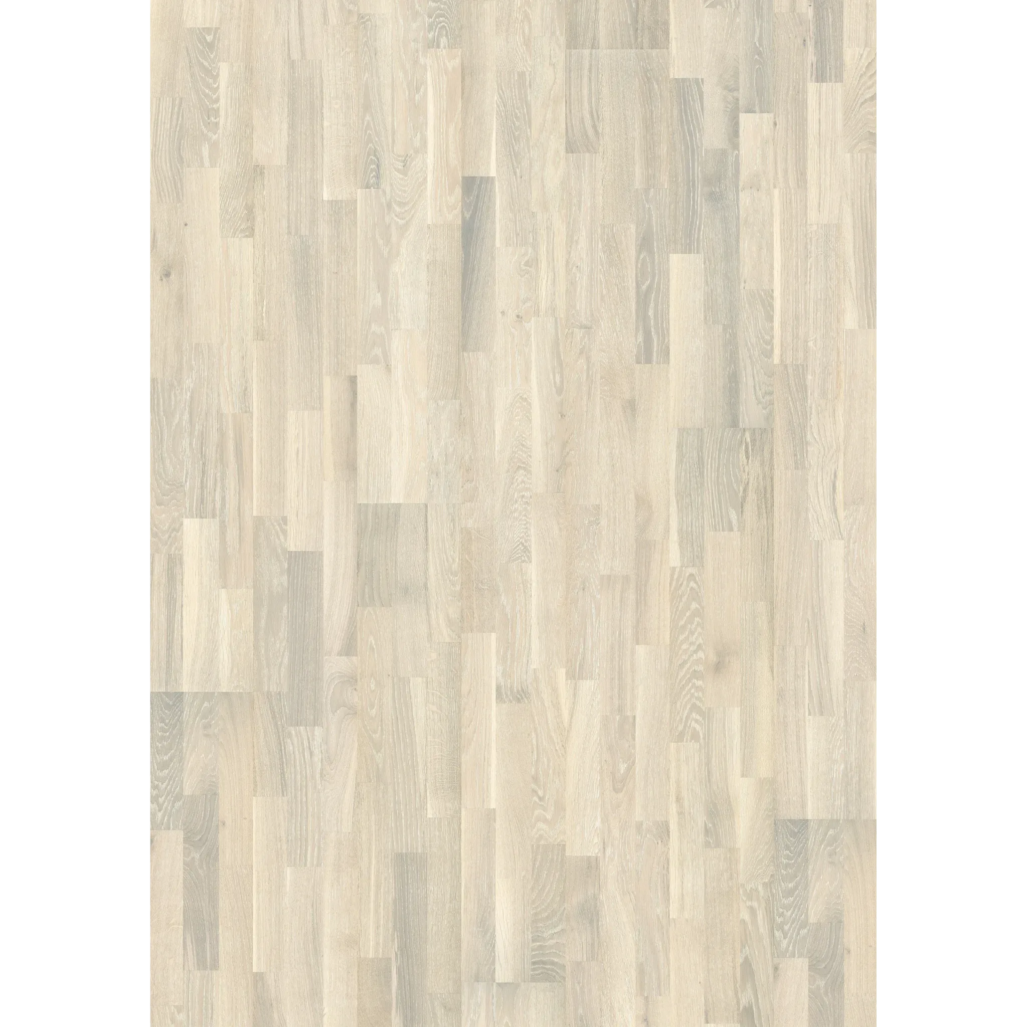 Oak Pale