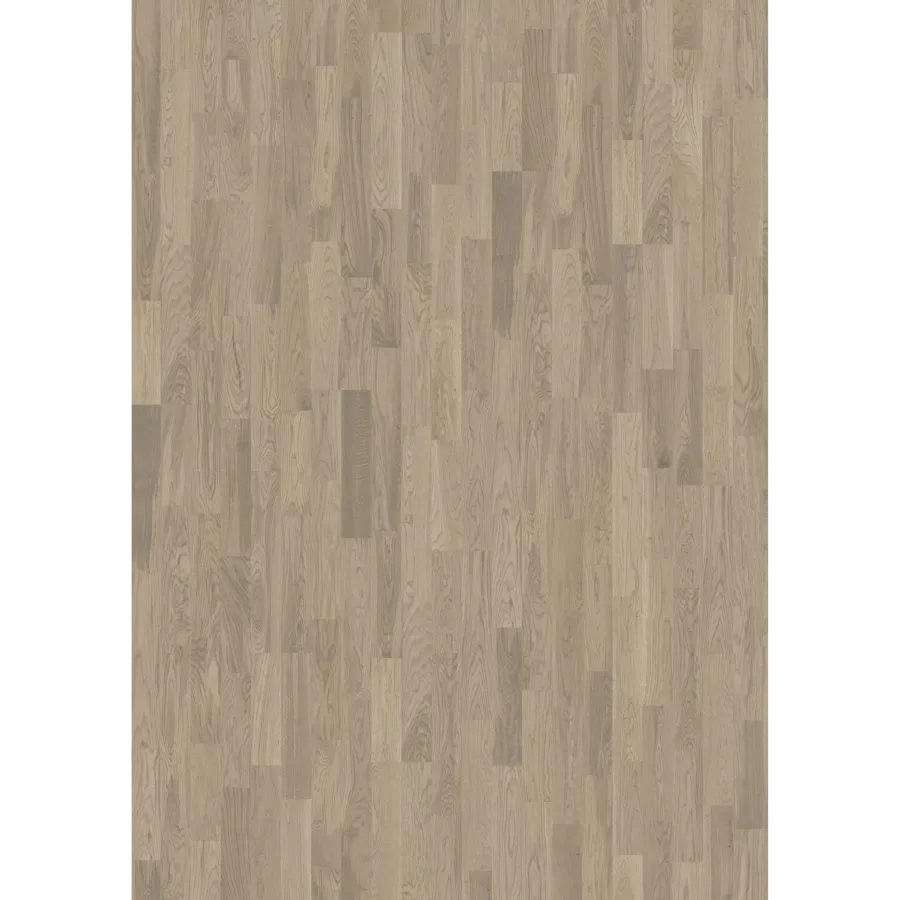 Oak Dim