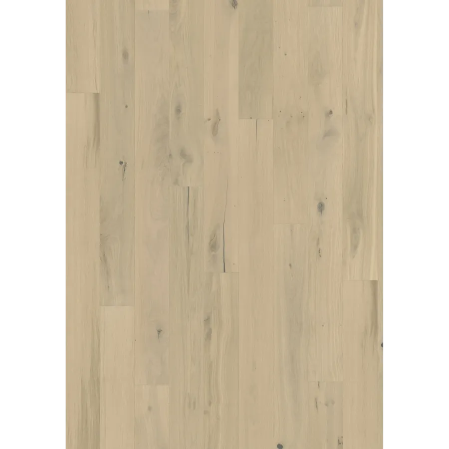 Oak Frosted Oat Plank