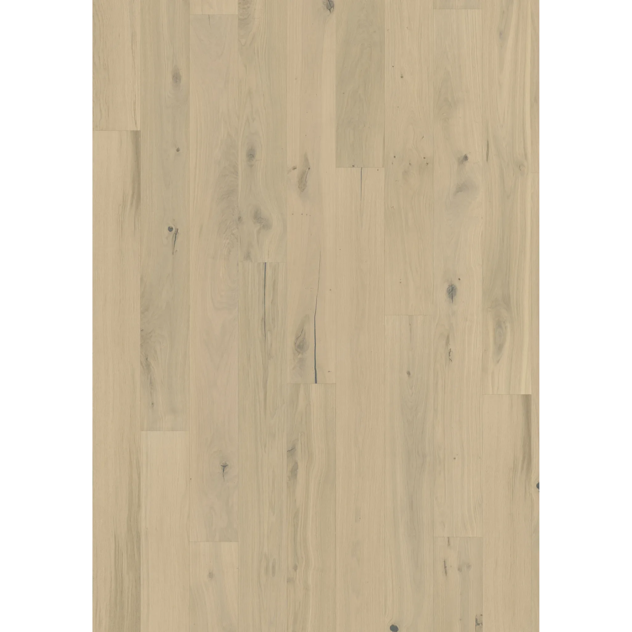 Oak Frosted Oat Plank