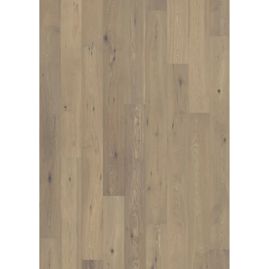 Oak 1-Strip White