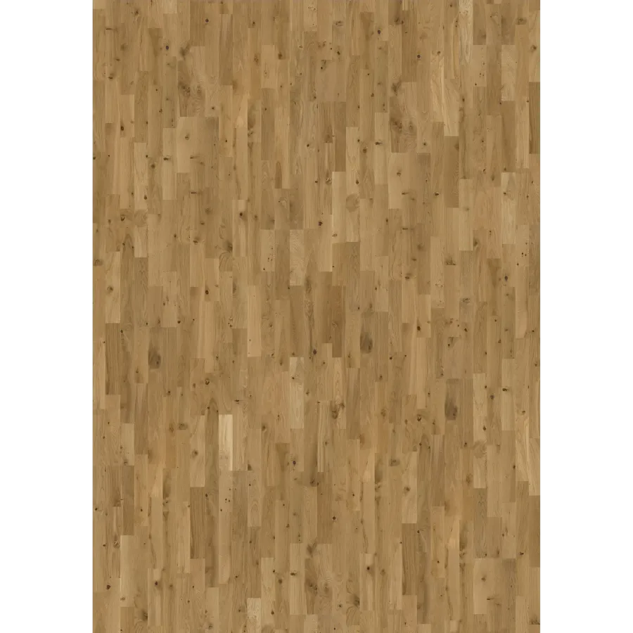 Oak Ardenne
