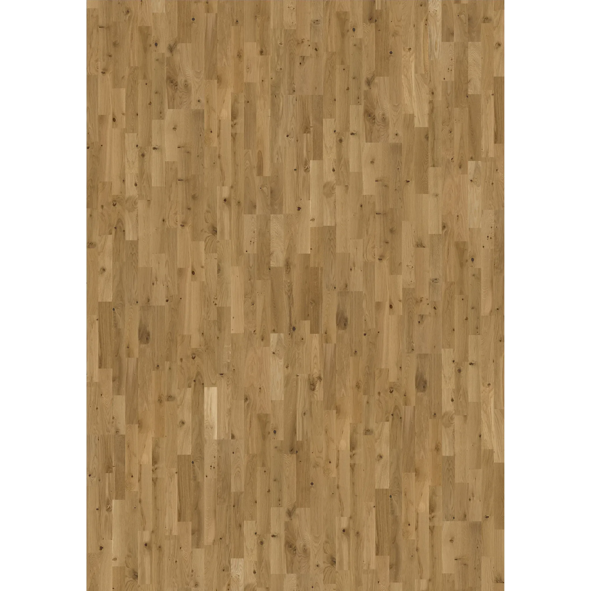 Oak Ardenne