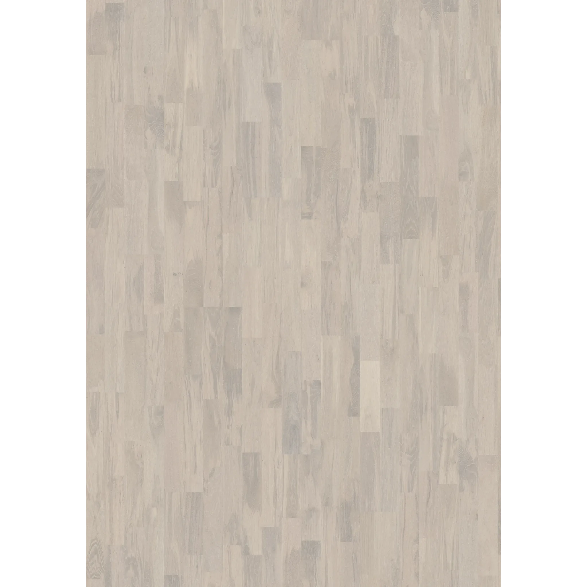 Oak Vapor