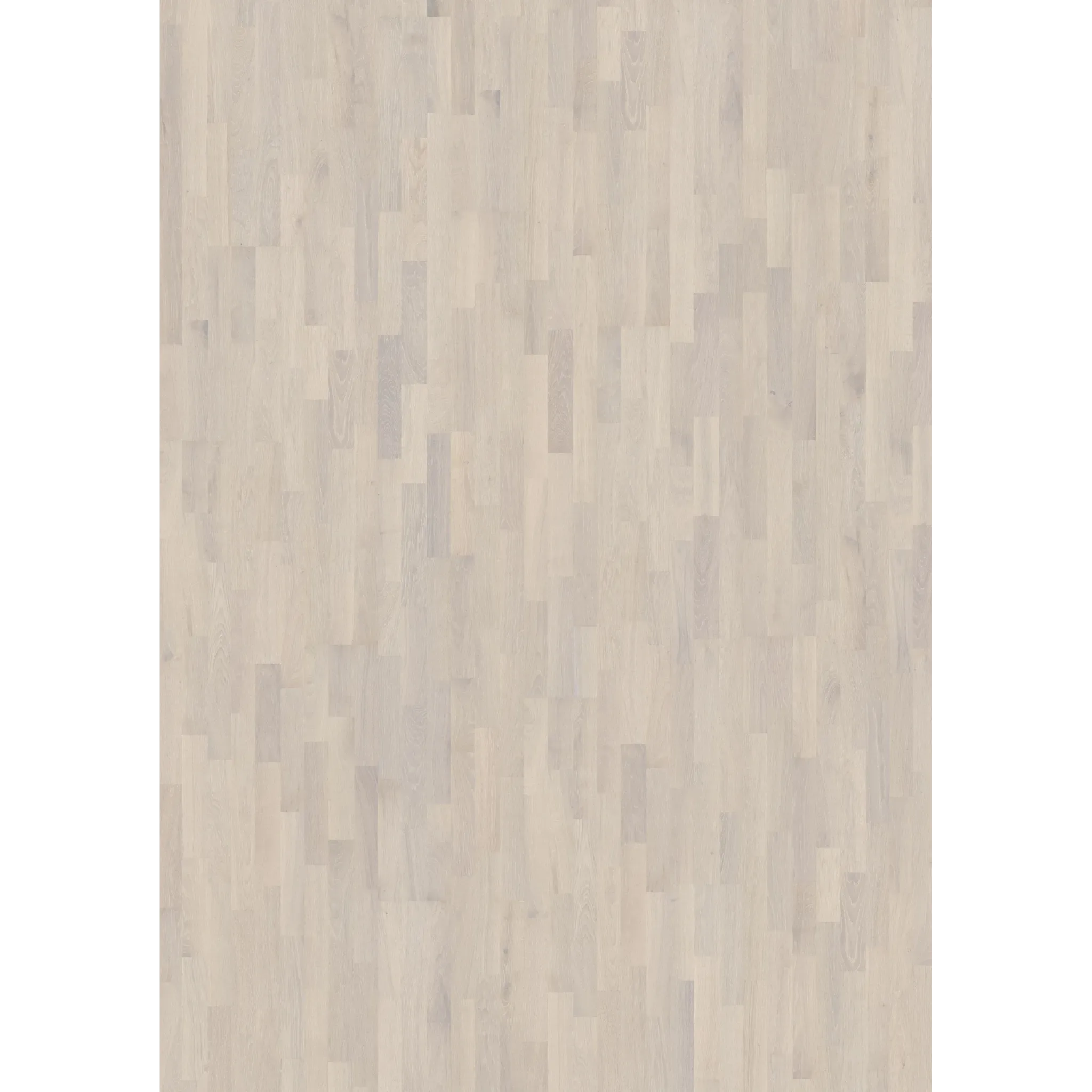 Oak Rime