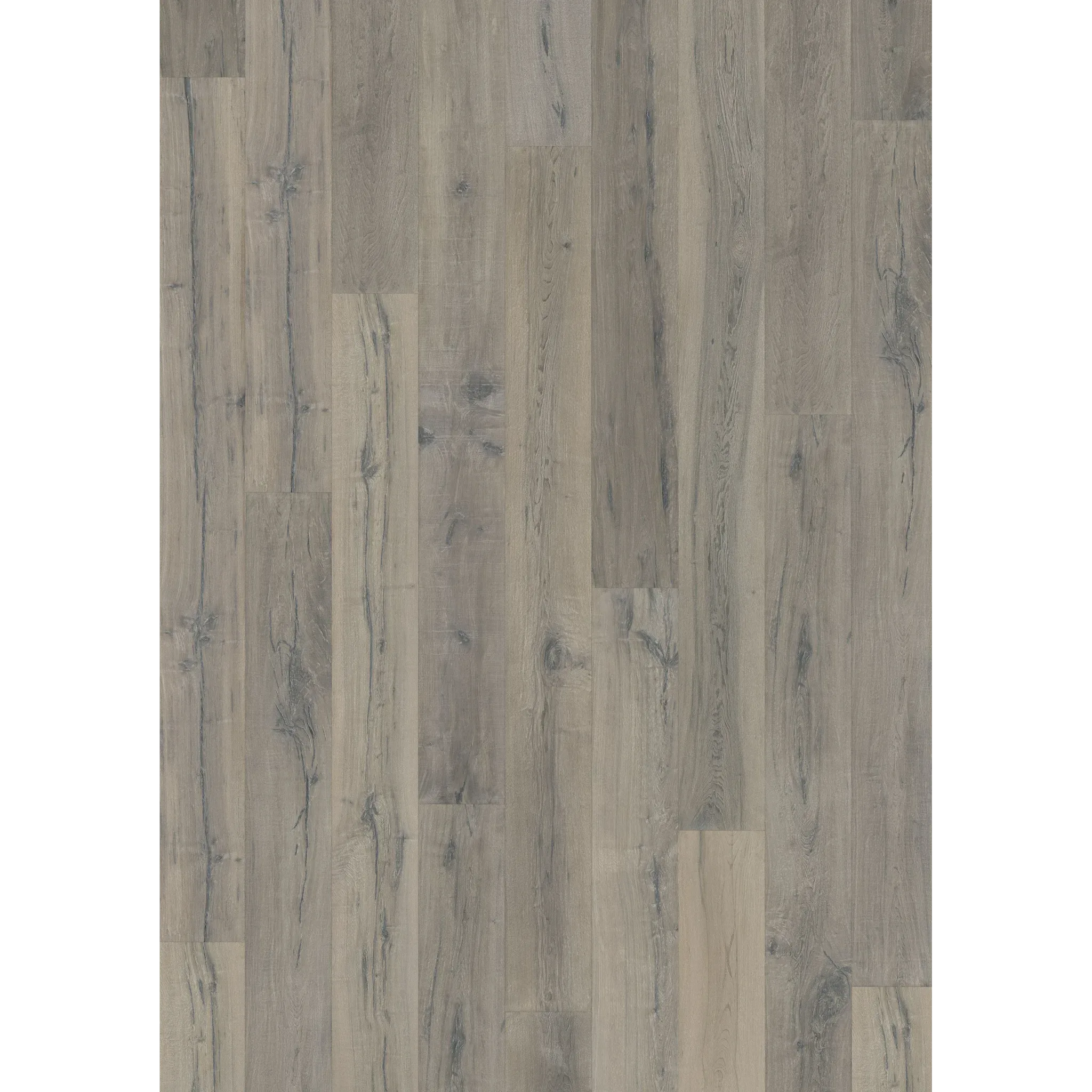 Hard Maple Bruma