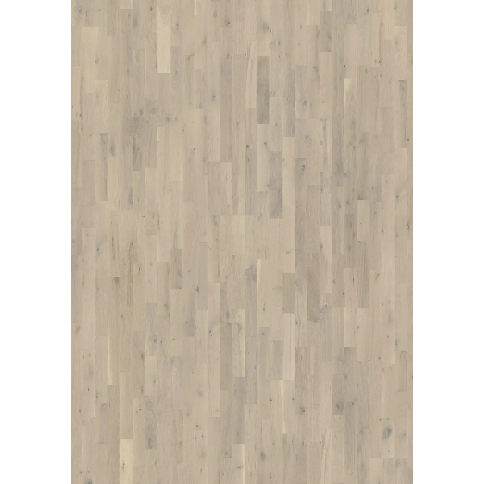 Oak Loft White Strip