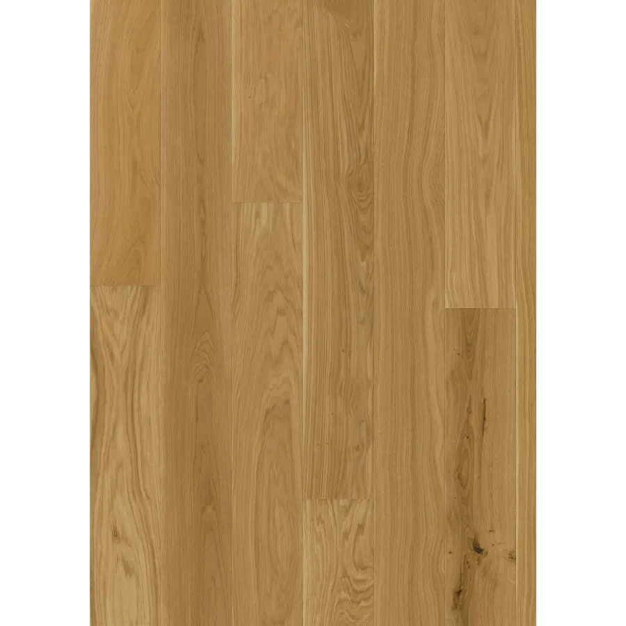 Oak Ecru