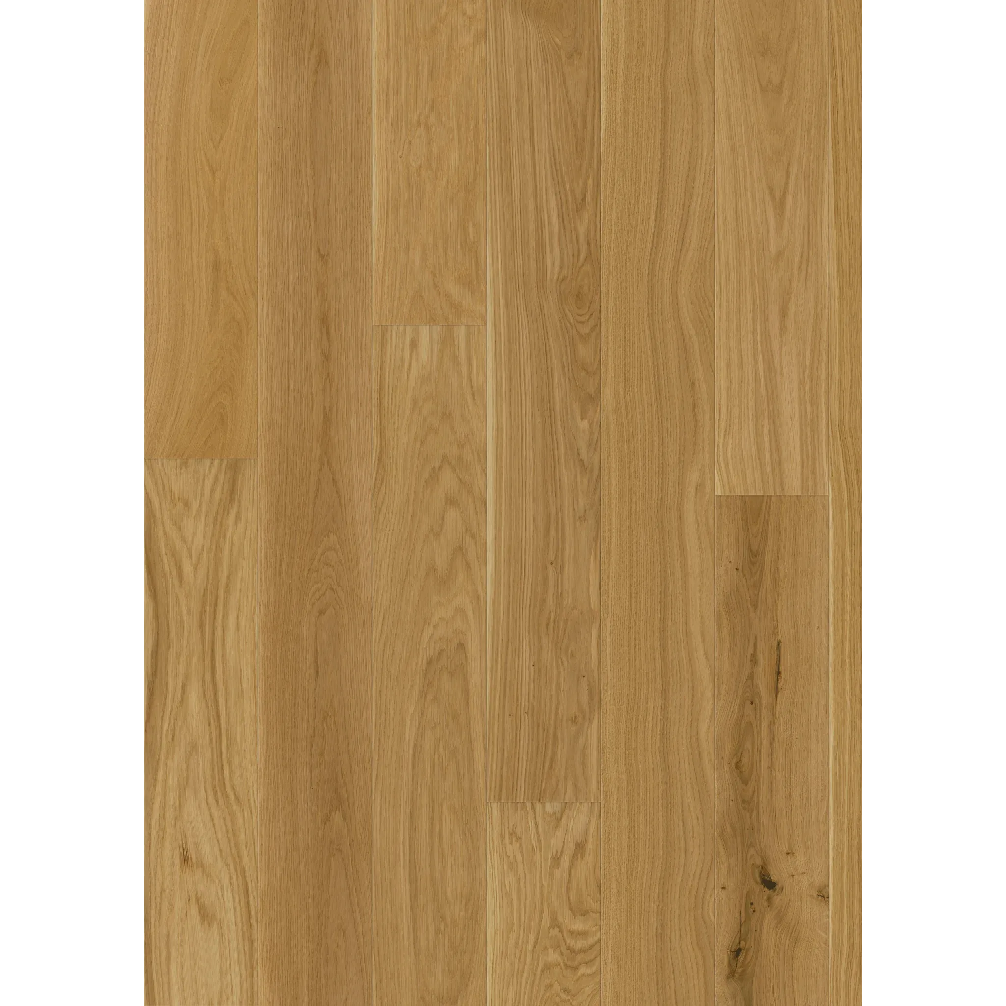 Oak Ecru