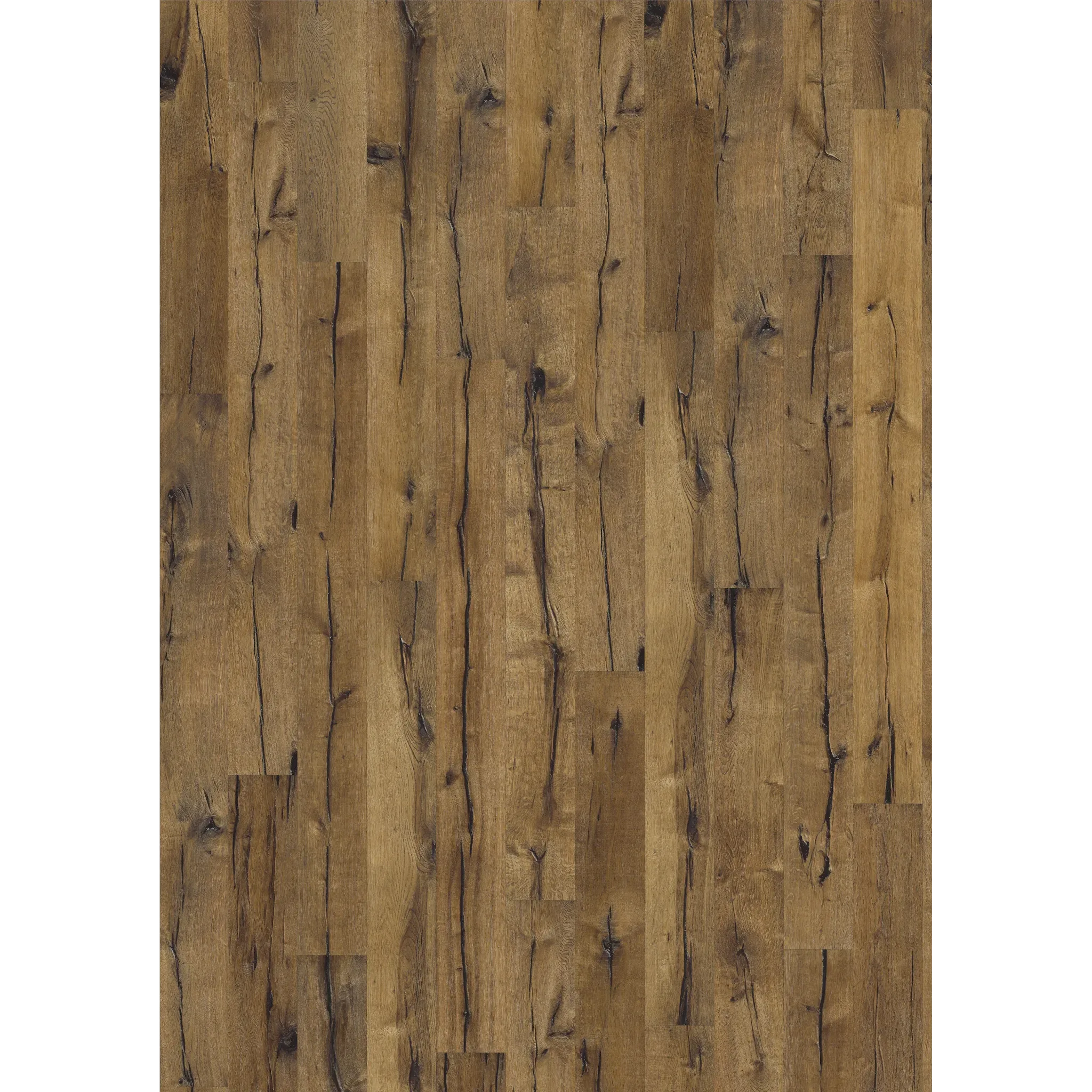 Oak Maggiore