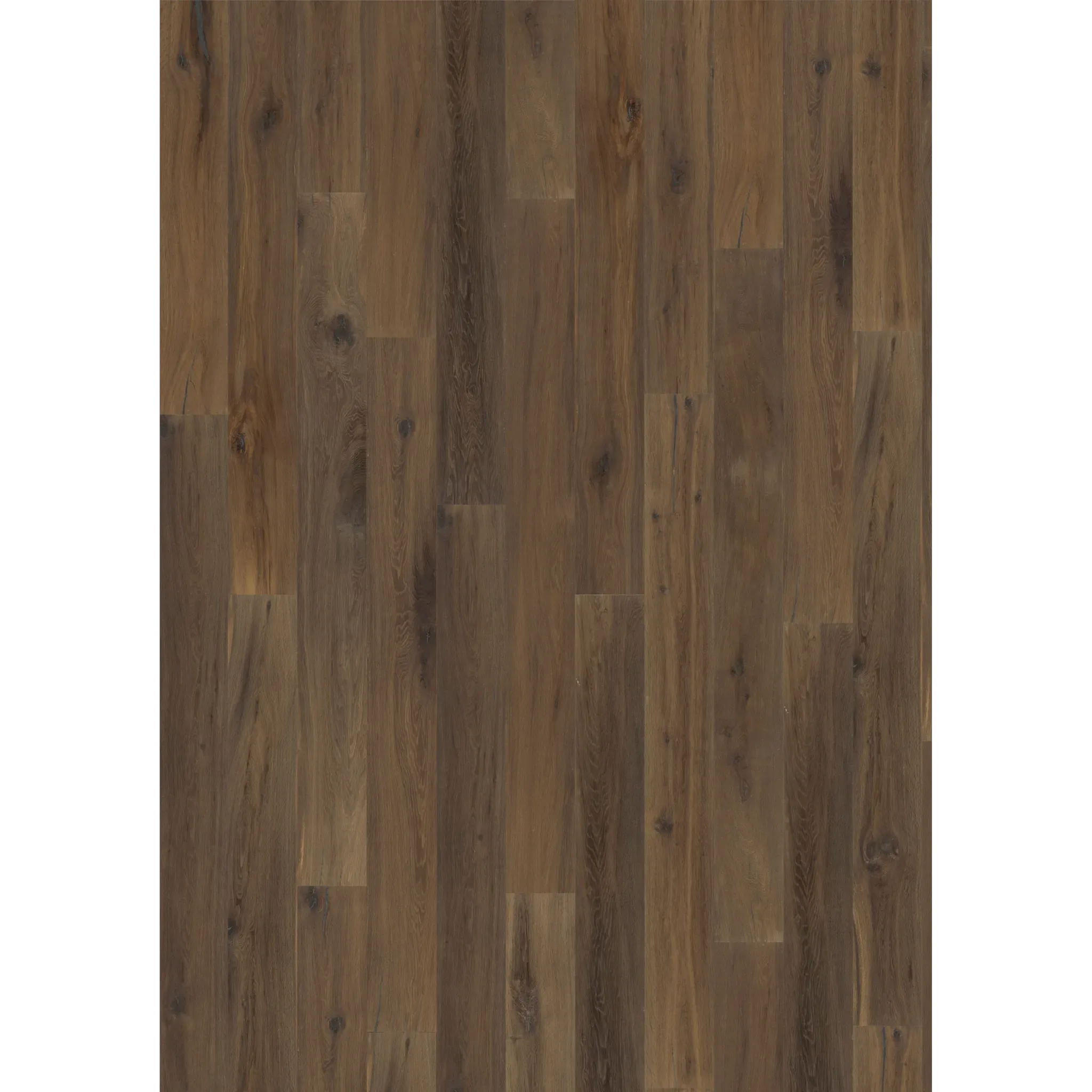 Oak Earth