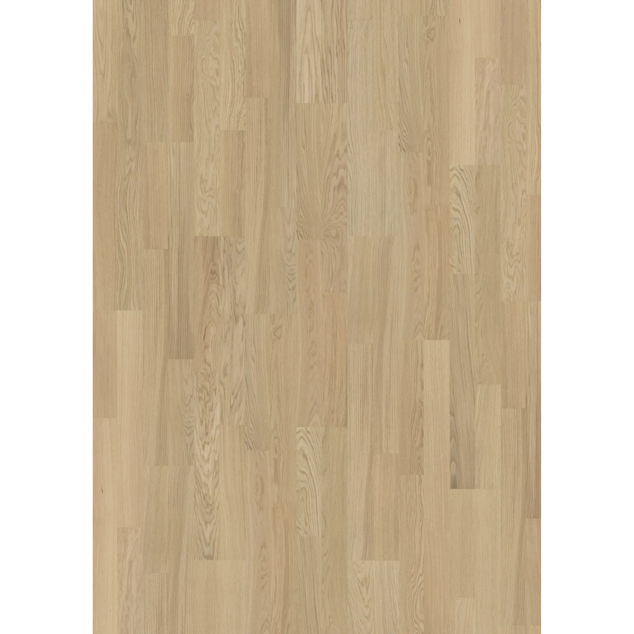 Whole Grain 2-Strip