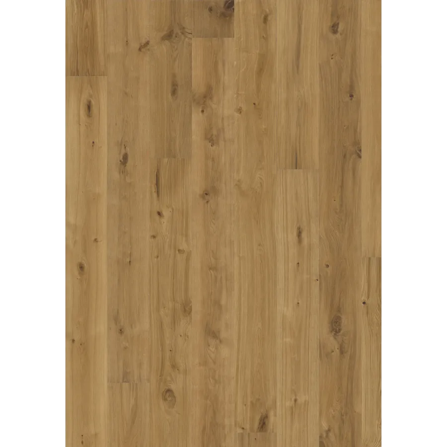 Oak Vedbo